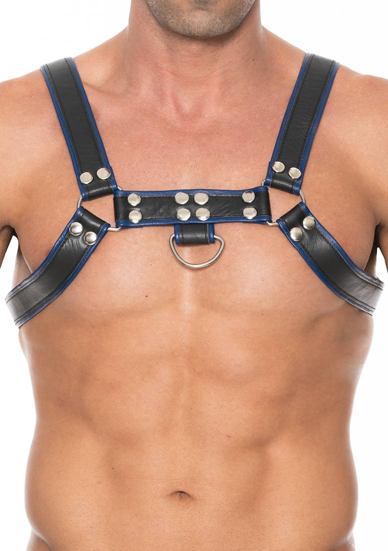 Chest Bulldog Harness - Premium Leather - Black/Blue - L/LX afbeelding