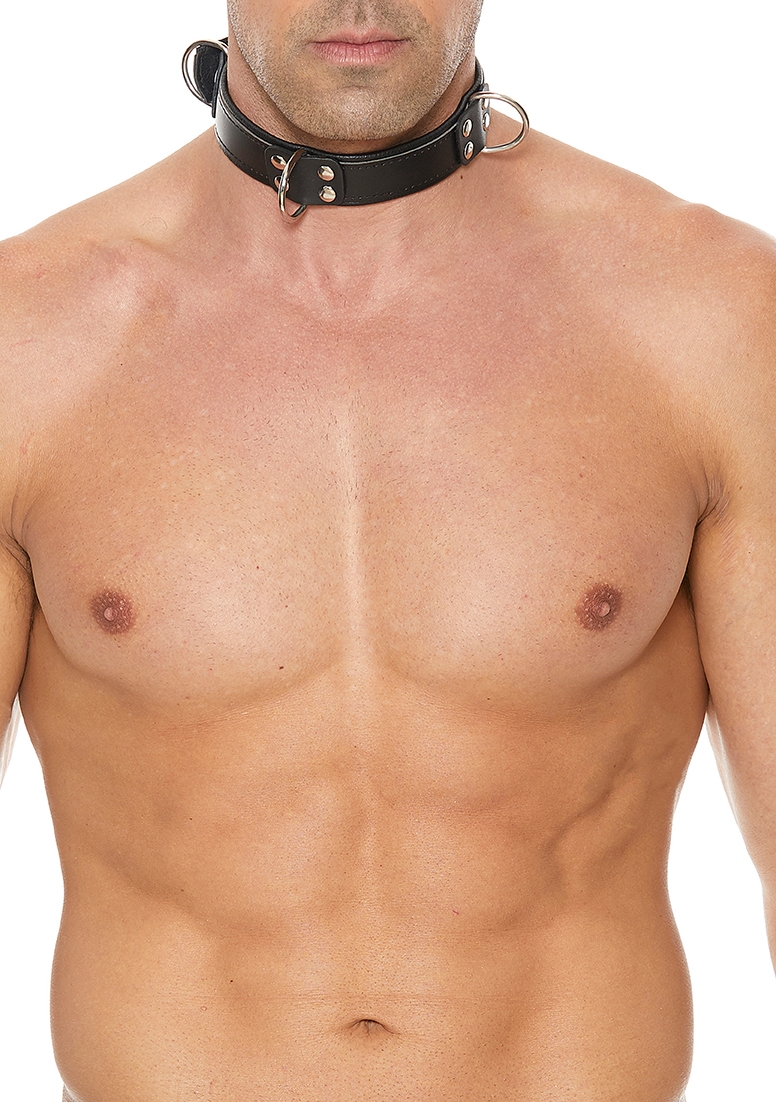 Deluxe Bondage Collar - Premium Leather - Black/Black afbeelding